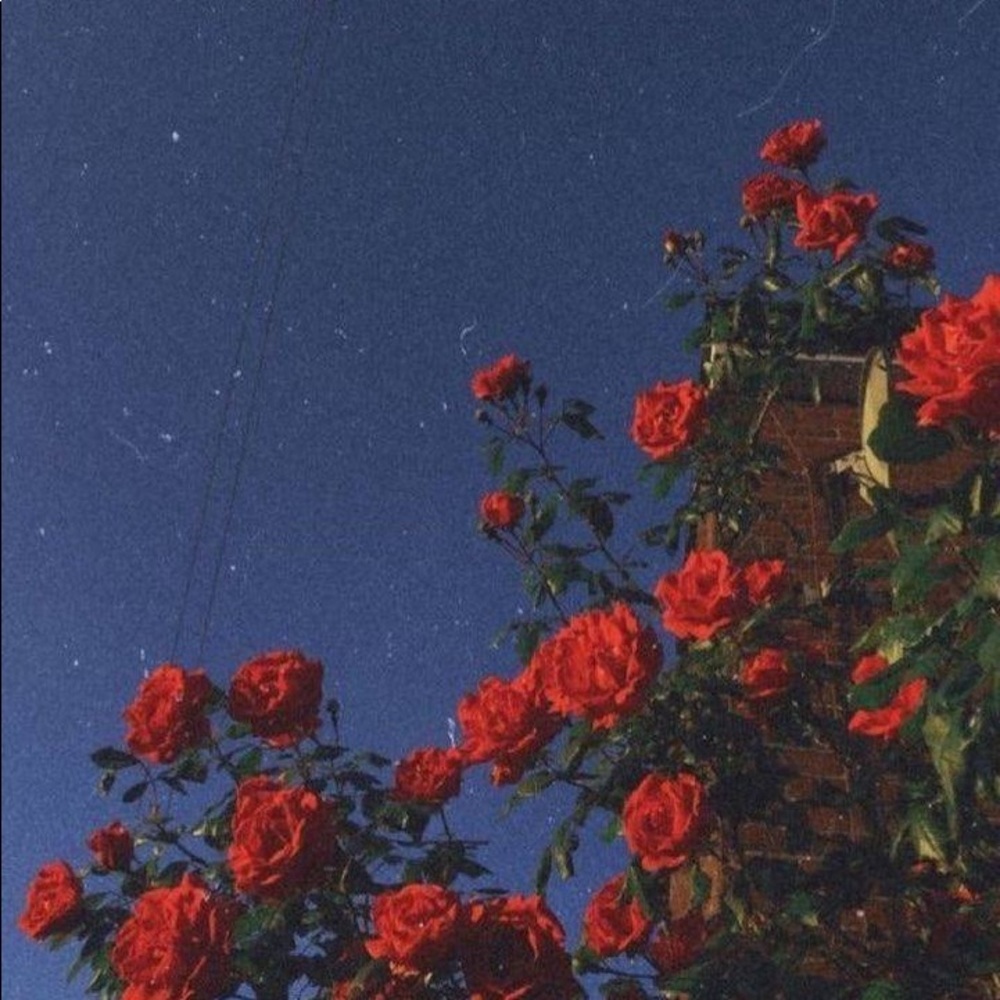 Meet your Posher, Jon